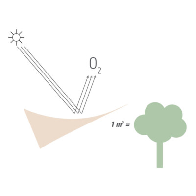 air-cleaning-treatment